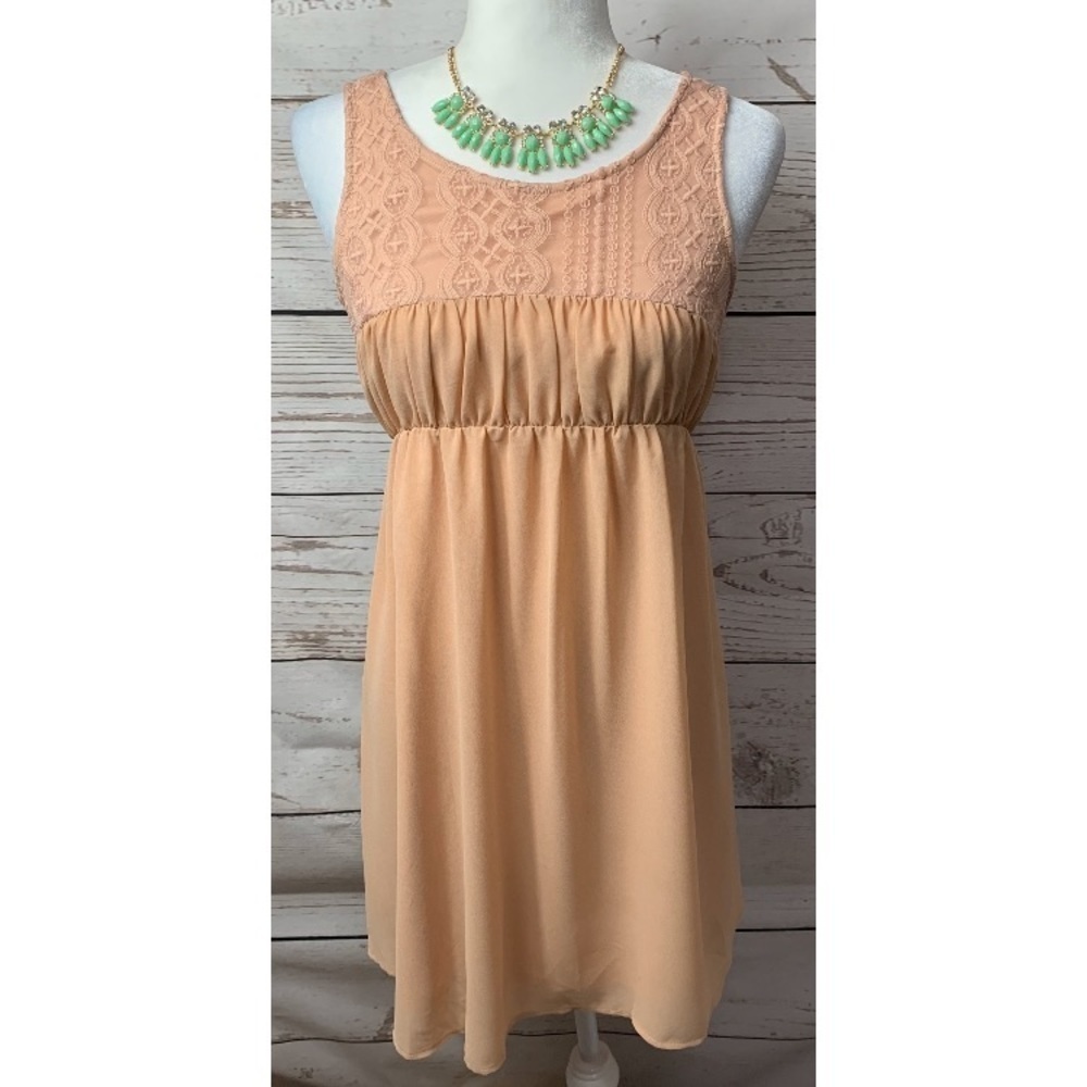 EUC Shop The Trends Dusty Rose Lace Chiffon Dress